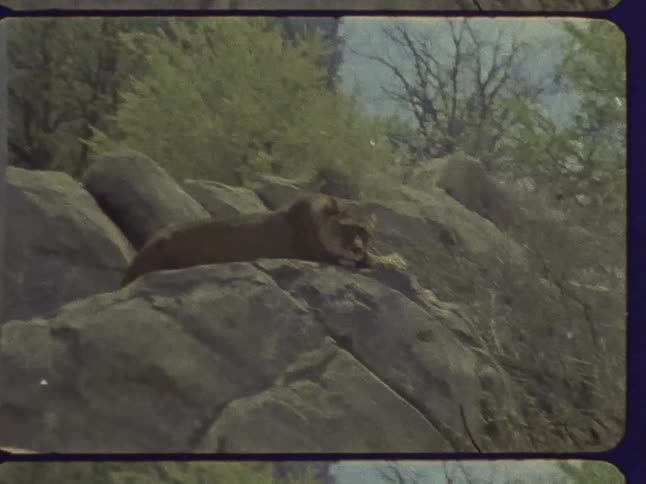 Large boulders are on the side of the mountain