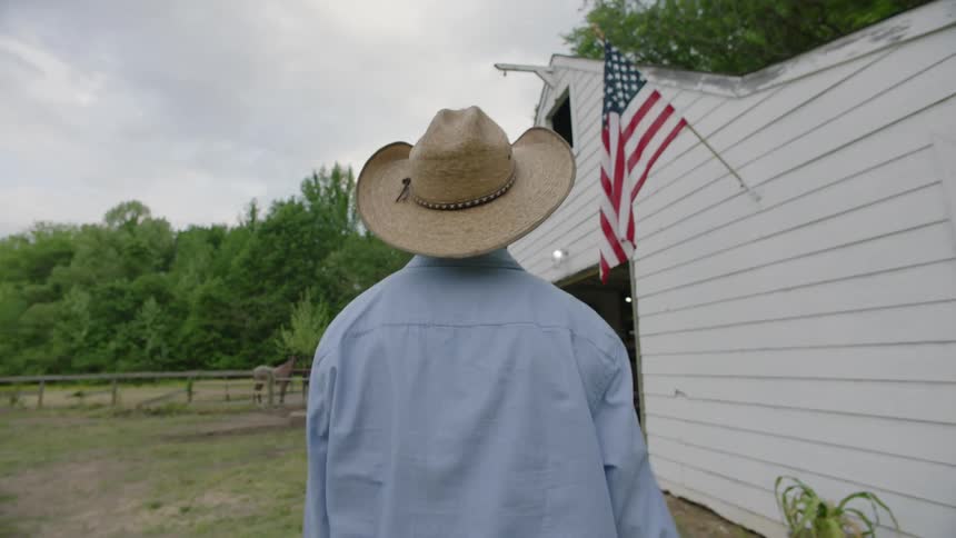 A man walks toward horses in a paddock and enters a barn where another horse is stabled