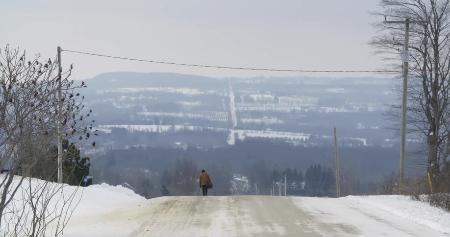 A man walking down a wintry, rural road