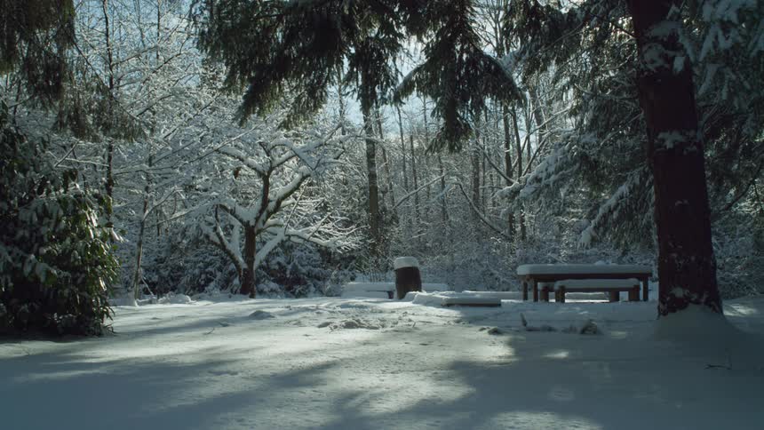 The park is covered in snow
