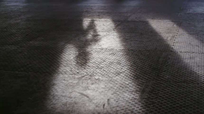 A persons shadow boxing