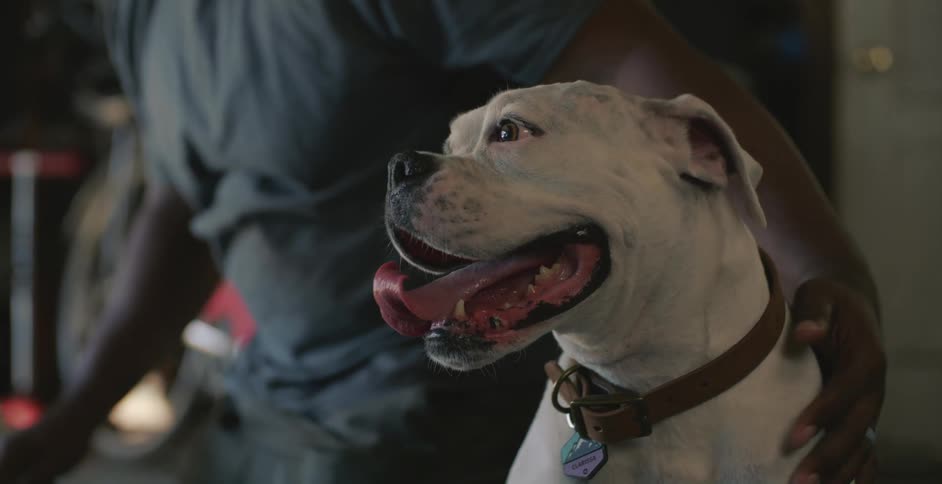 A man is petting his dog and standing indoors
