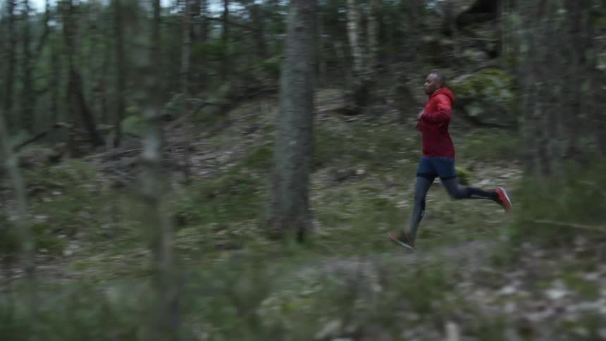 A man is jogging in the forest