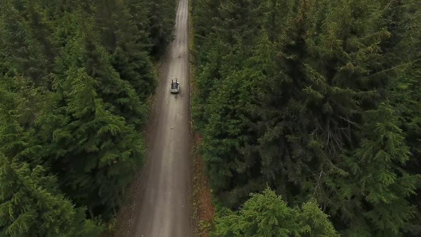 A car drives down a forested road
