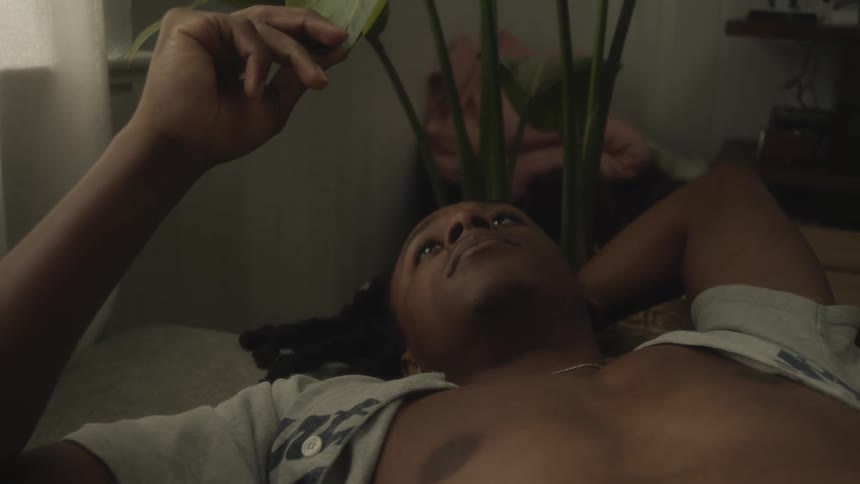 A man lying down at home touching and playing with a leaf of his house plant