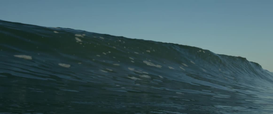 Sunlight shines on a wave as it rolls across the ocean