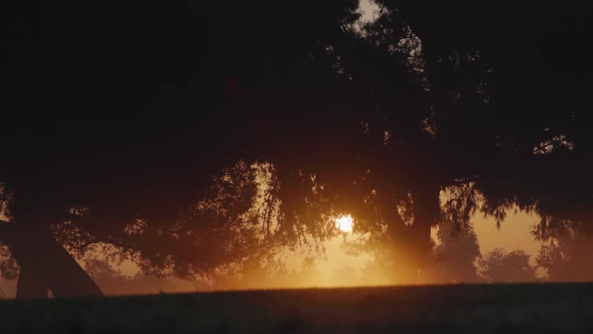 The sun is shining brightly over a roof and through trees in a hazy sky