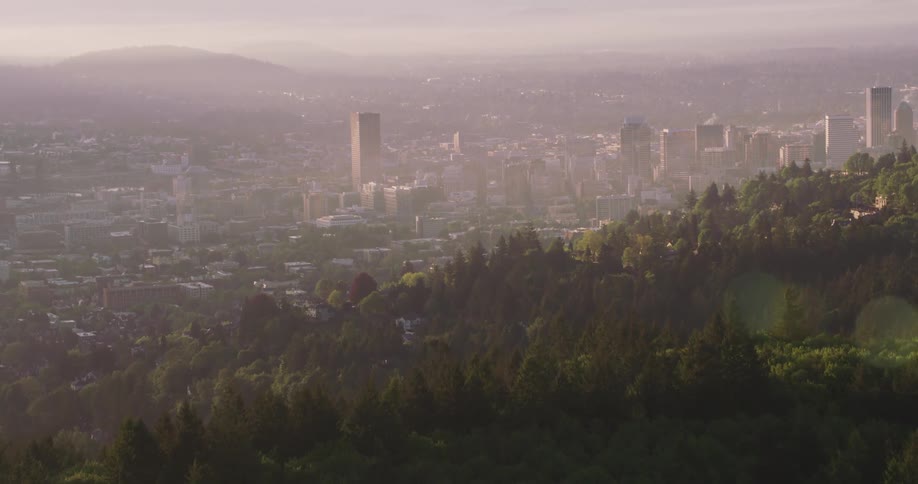 A sprawling metropolitan city is located next to a dense forest