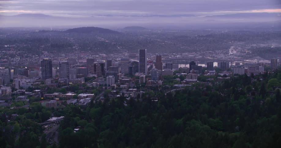 A forest overlooks a downtown city with tall skyscrapers