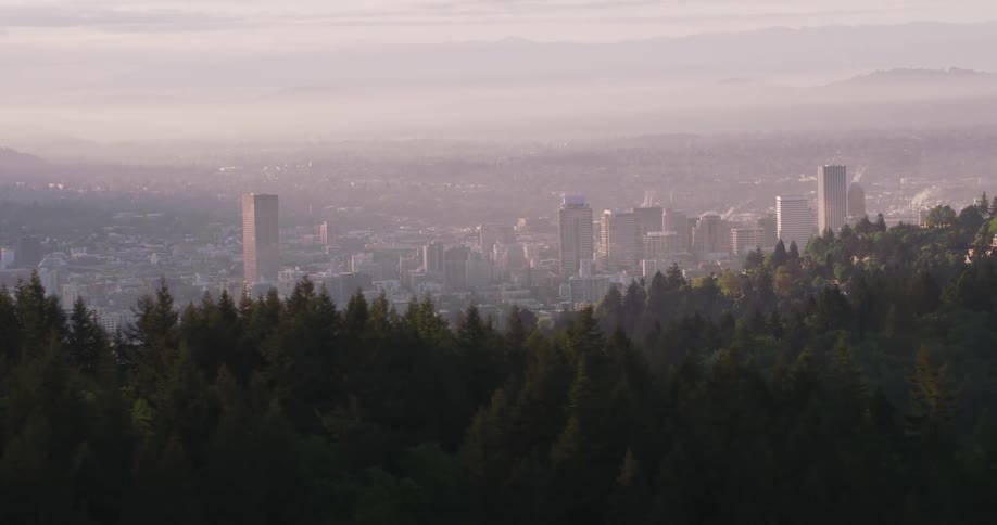 Office buildings in a city skyline