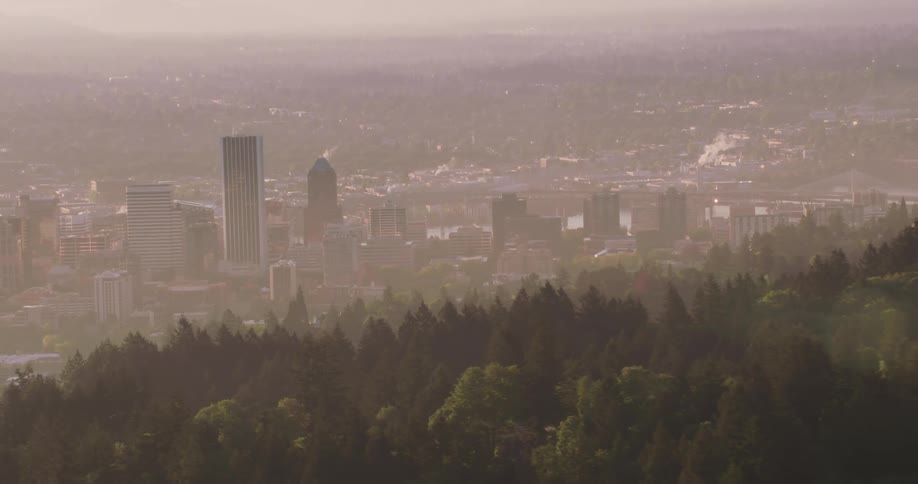 Fog covers city in valley surrounded by forested slopes