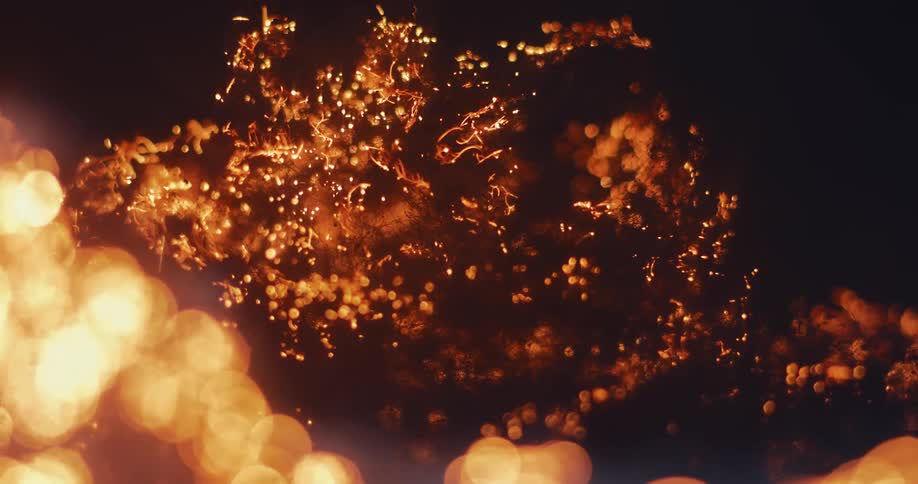 Network of burning sparks moving across a dark black background