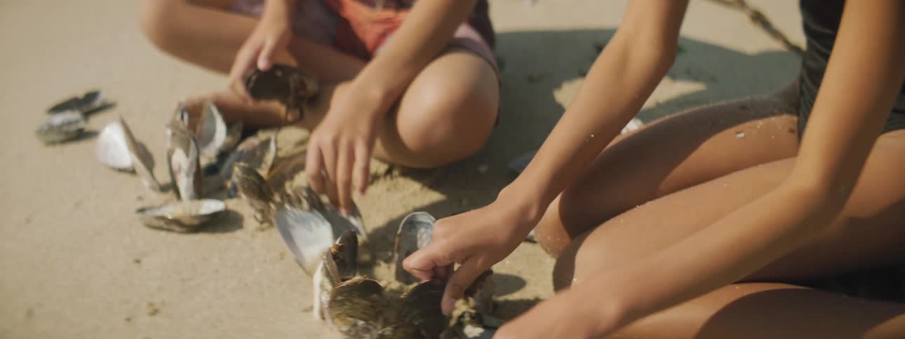 A boy and teenage girl sit on a beach sorting seashells