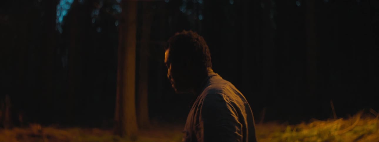 Man stands downcast in forest at night