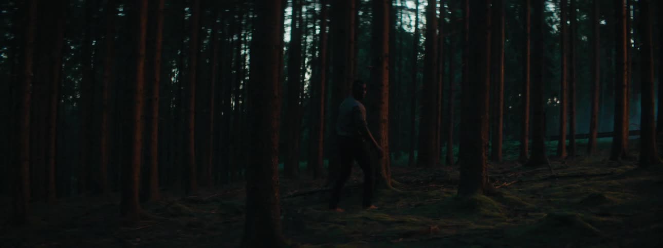 A man laying down then standing in a forest with trees the sky and clouds in the background