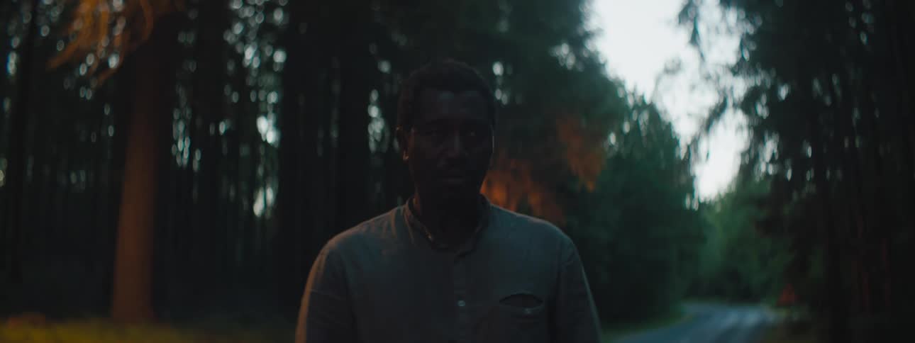 A man is walking through a forest