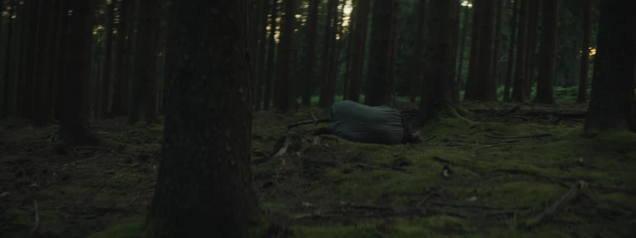 The forest is empty and dark