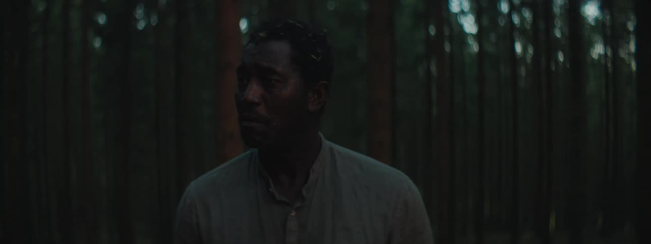 A man is walking through the woods