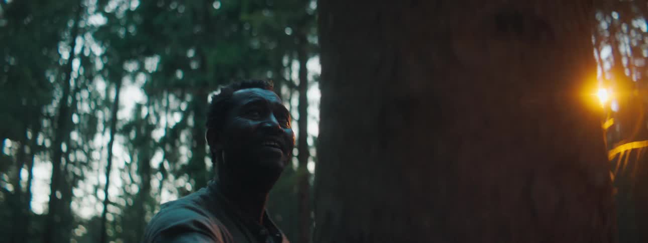 A man is walking through a forest