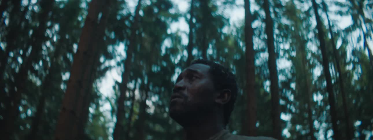 A man stands in a forest and looks around