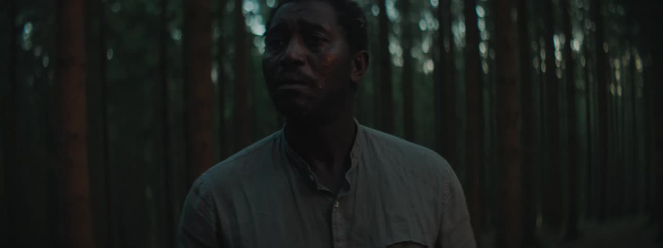 A man looks around the forest