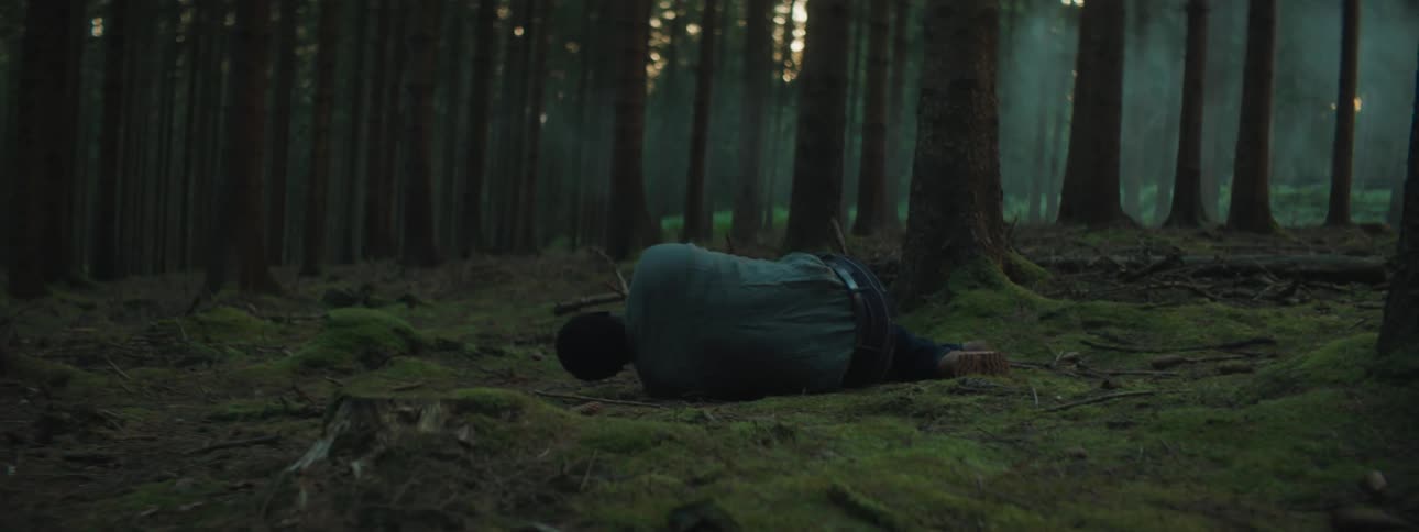 An injured man lying in a mossy forest with smoke in the background