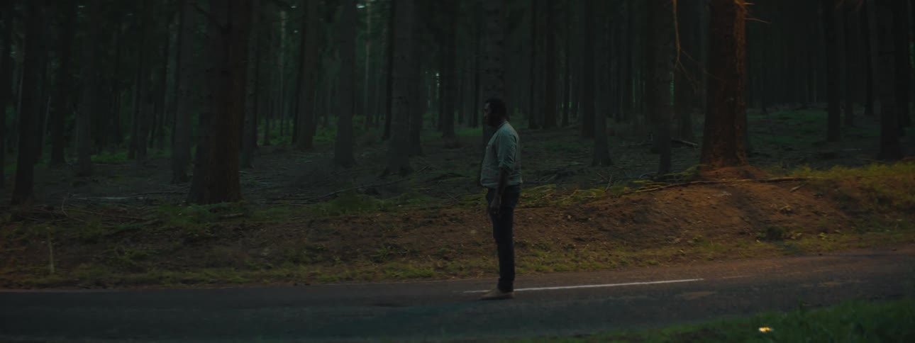A man standing in the middle of a road next to a forest