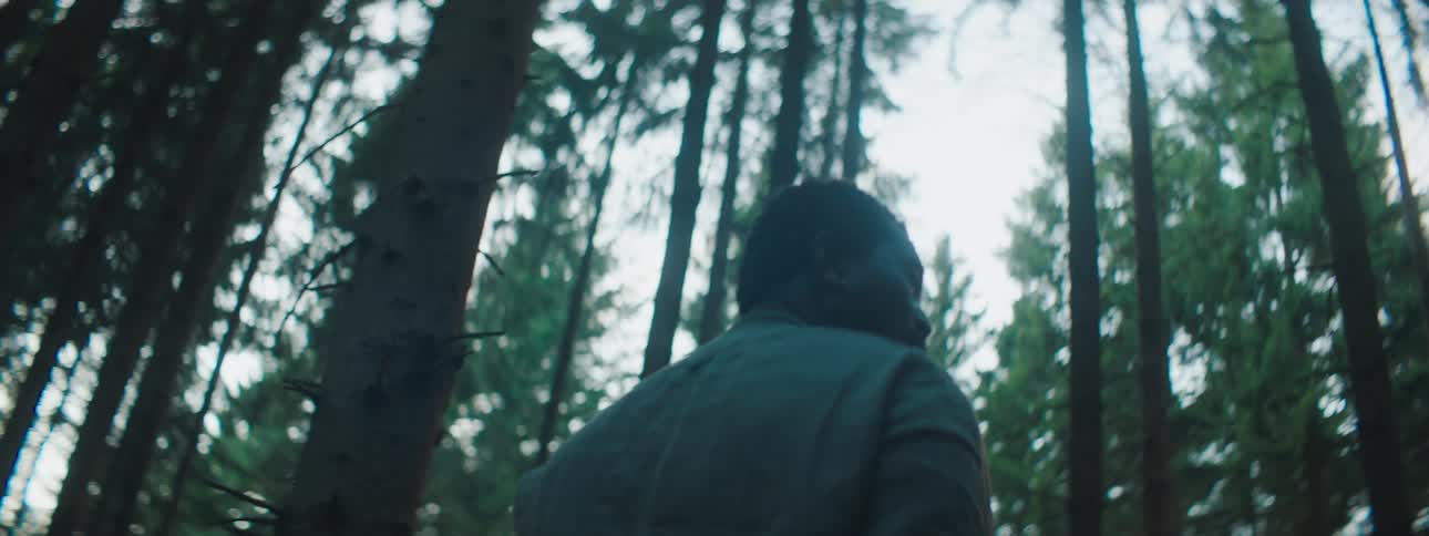 A confused looking man standing in a forest with tall trees in the daytime