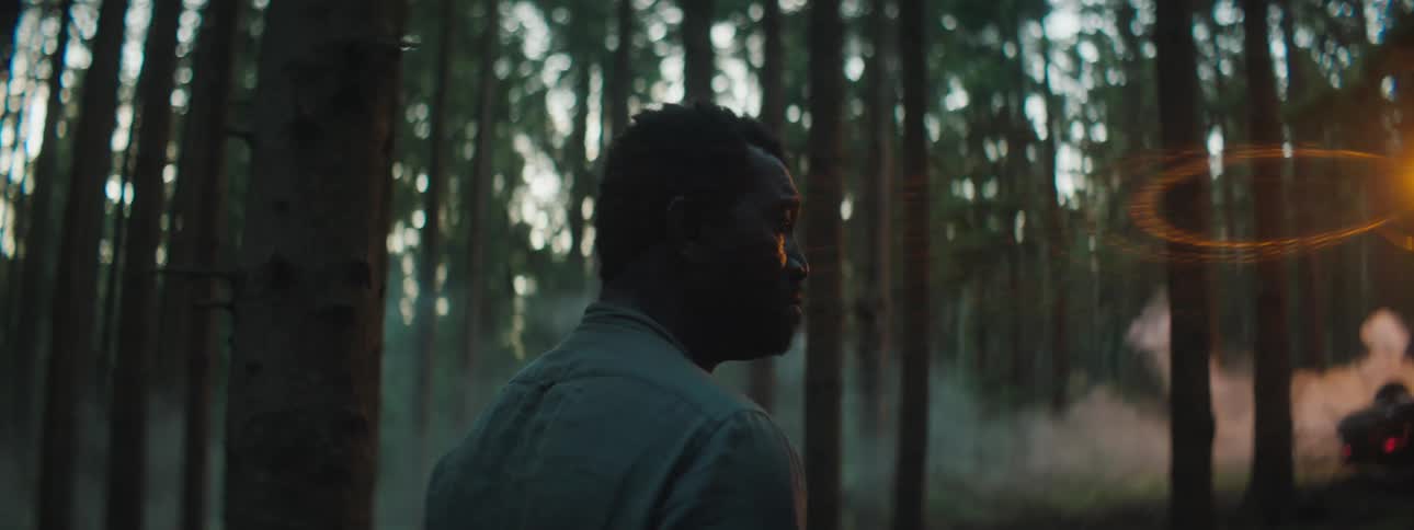 A man ignores the overturned and burning vehicle near him as he looks up at the trees in a forest