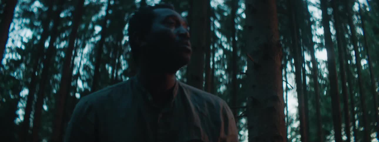Man gets to his feet looking around confused as smoke drifts through trees
