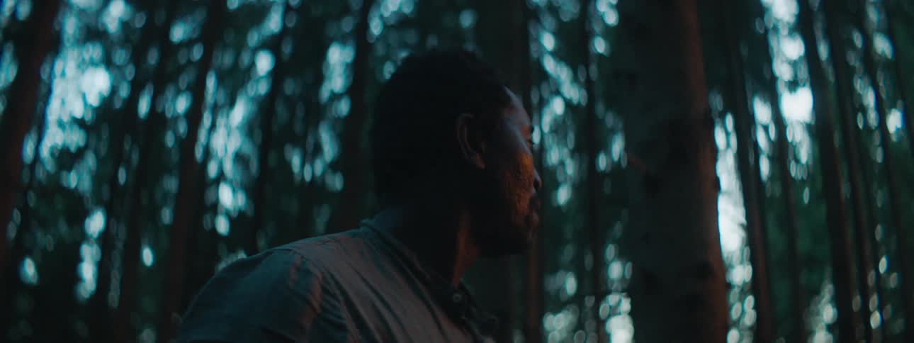 A man is standing in the woods during spring