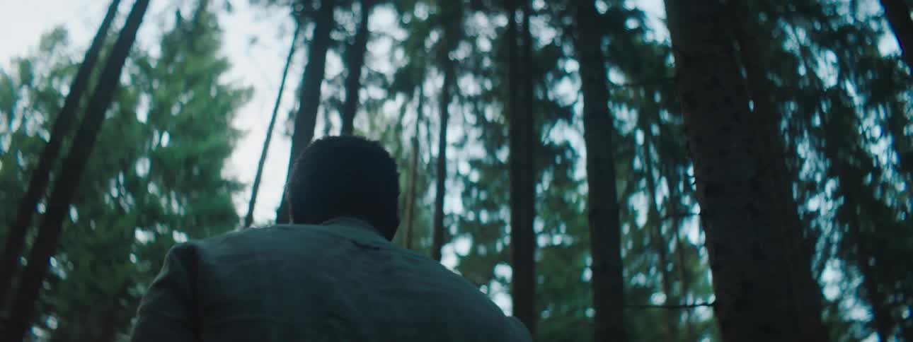 A man is standing in a forest