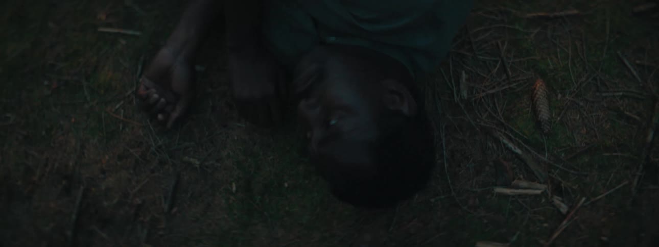 A man passed out in a forest in the dark