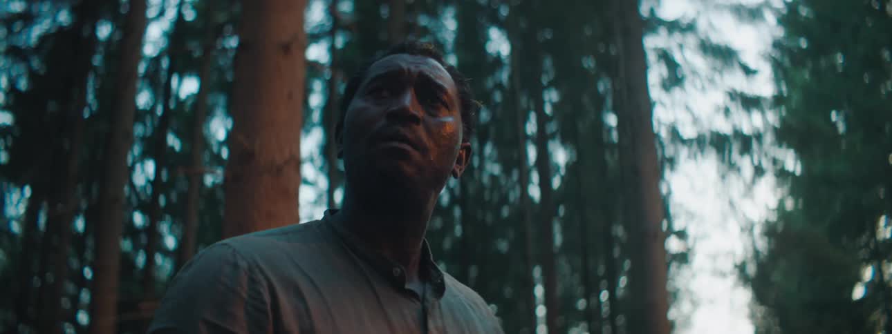 Man stands in forest near tire