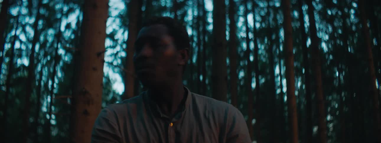 A man is walking in the woods