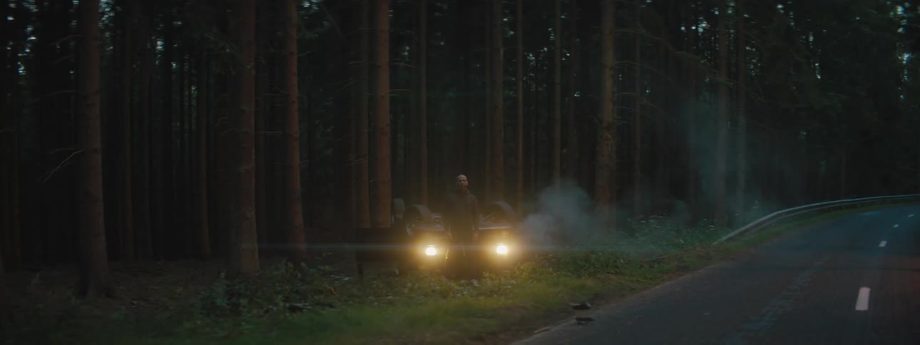 A man stands in front of a smoking overturned vehicle beside a road through a forest