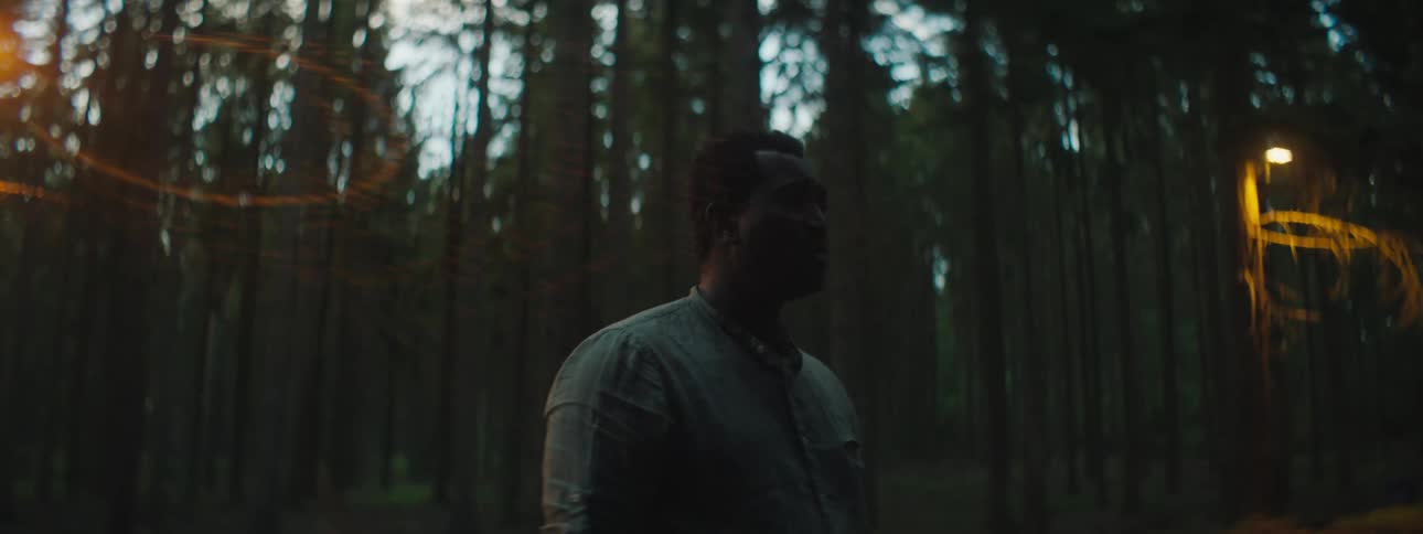 A man is standing in a forest