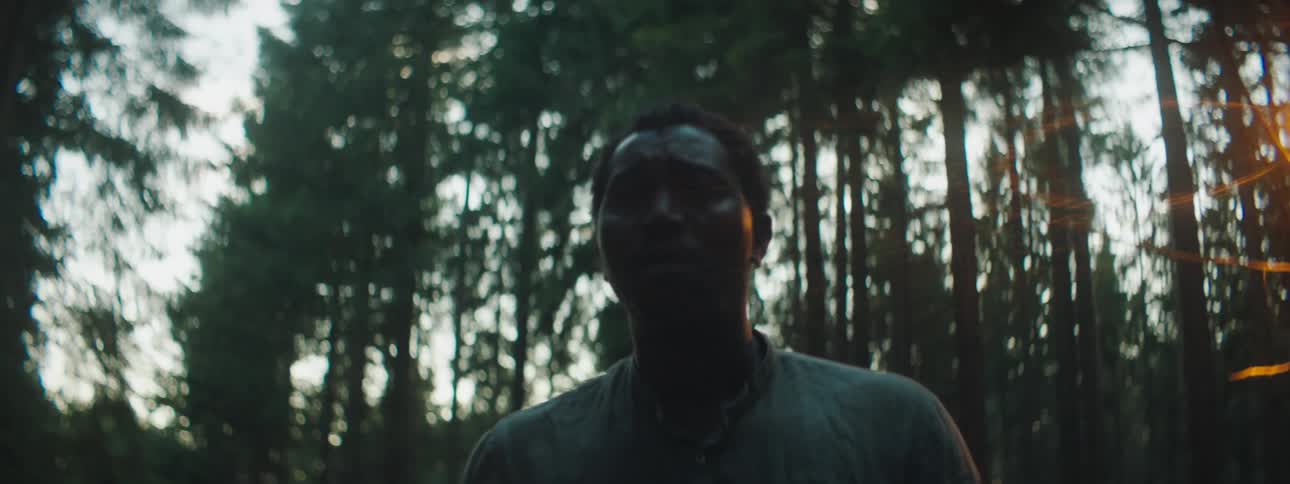 A man is walking in a forest at dusk