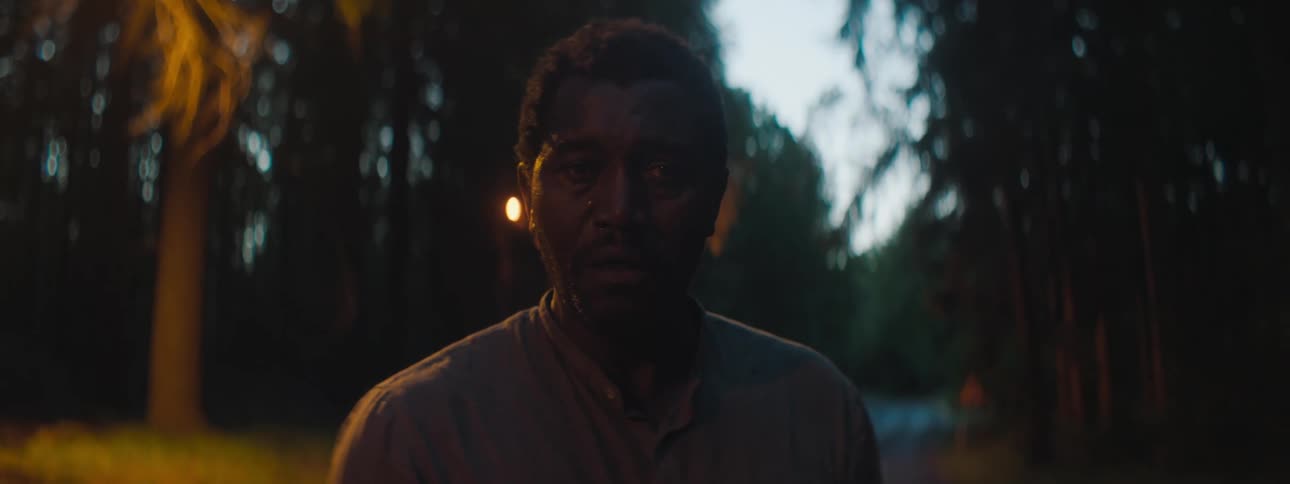 Sad and depressed man cries bitterly in the middle of a road in the woods at dusk