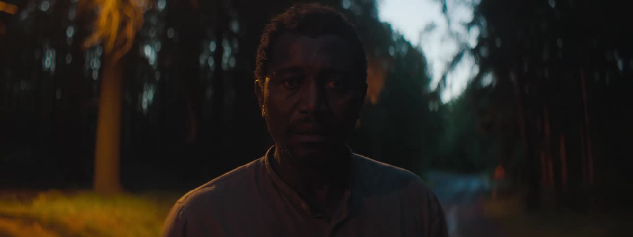 A man standing on a path in a forest