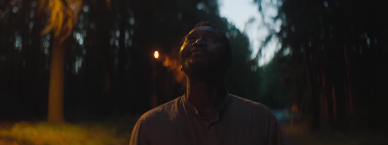 A man is standing outdoors at dusk
