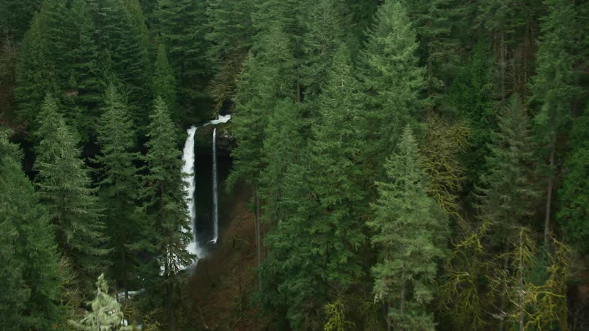 A waterfall rushes into a creek in the woods