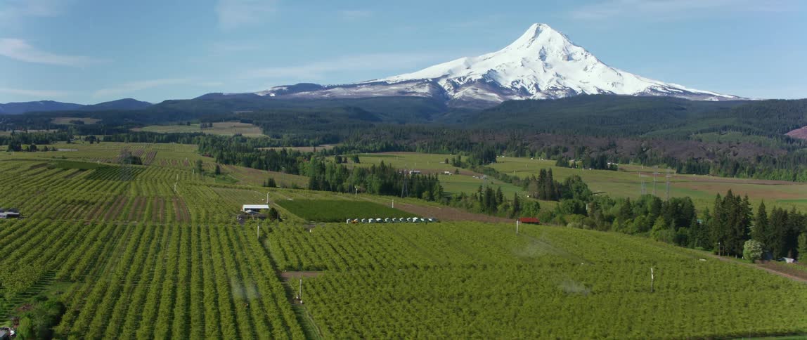 Road passes crop fields and farms with towering snow covered mountain and forest on the horizon