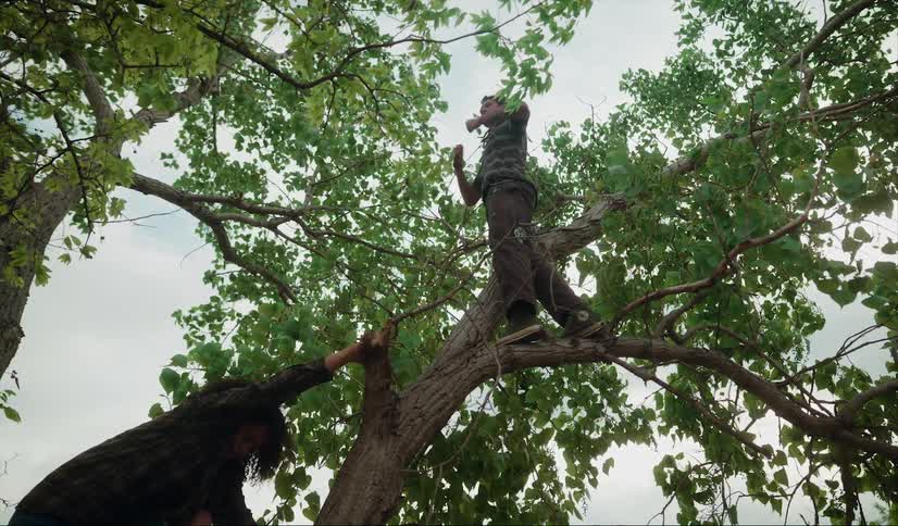 A teenage boy stands up in a tree and pounds on his chest as another teenager climbs up the tree