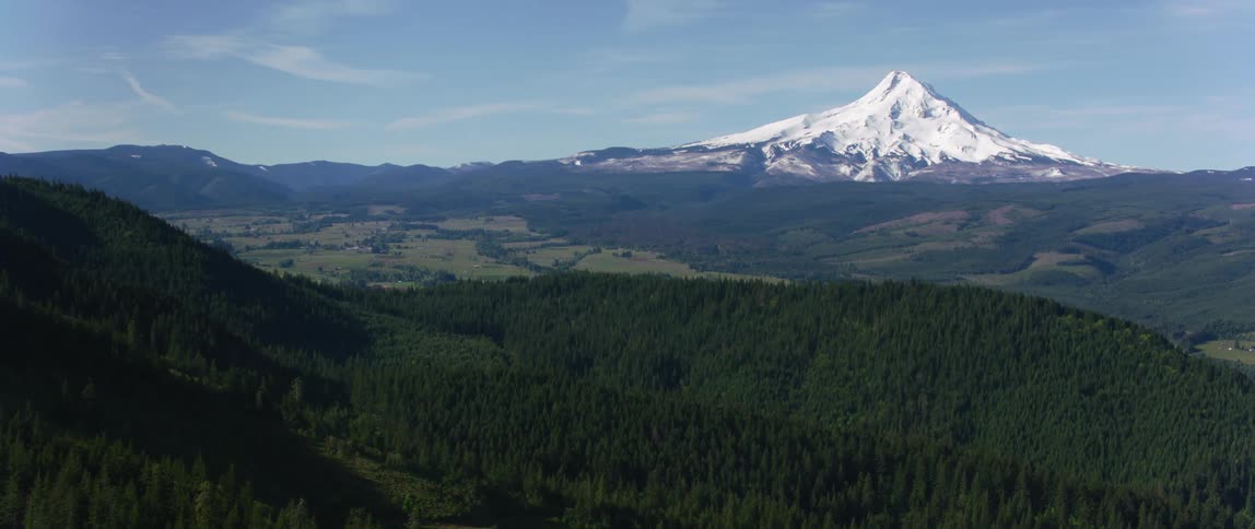 An aerial view of a forest in front of a mountain range