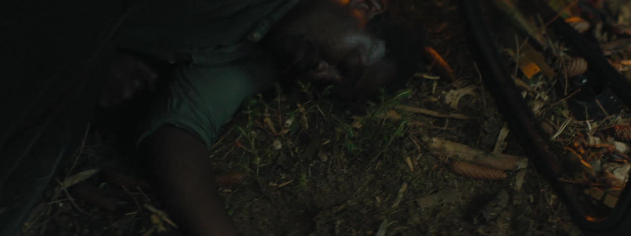 A man passed out on the ground outside
