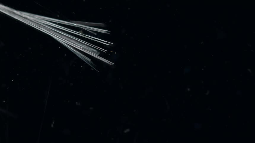 Bright flares moving across the night sky