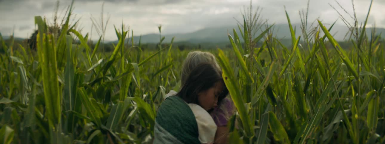 Older woman walks through crop field toward mist covered mountain carrying granddaughter in sling on back