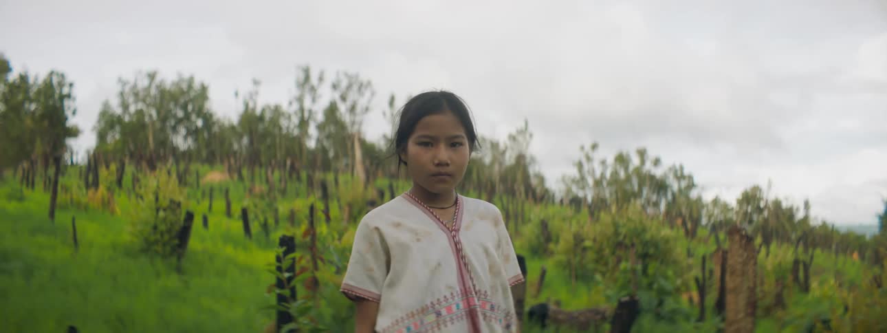 A girl looks into the camera while standing on a hill covered in the trunks of chopped trees and grass