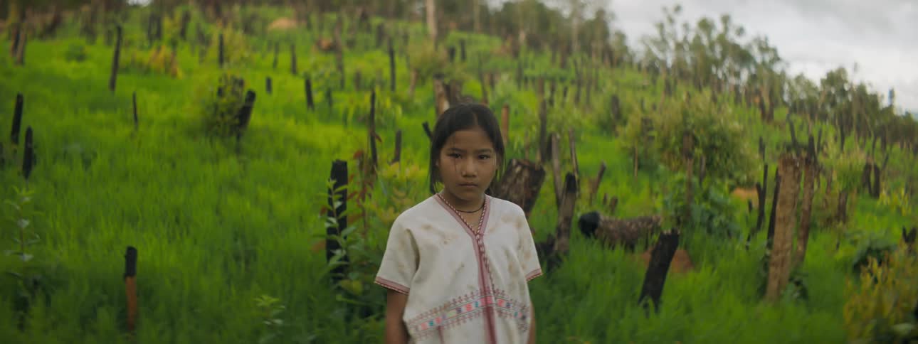 Native american standing in a field of grass